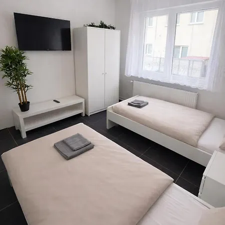 Villa Frankfurt Airport Family House