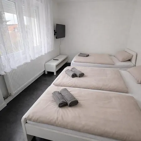 Villa Frankfurt Airport Family House Mörfelden-Walldorf