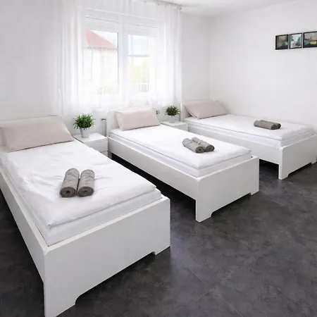 Villa Frankfurt Airport Family House Mörfelden-Walldorf